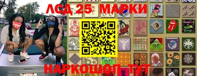 apvp Свободный